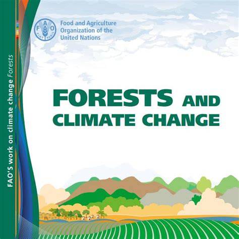 FAO, Forests and Climate Change - raincitystudios.com