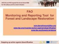 FAO Monitoring and Reporting Tool for Forest and Landscape … - raincitystudios.com