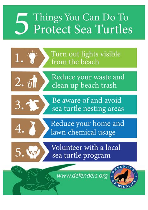 FAQ: Protecting Sea Turtles - Barbados Sea Turtle Project - muktibox.com