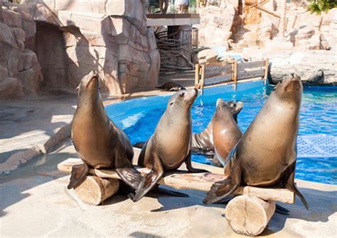 FAQ - Marineland