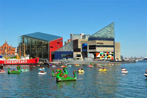 FAQ The National Aquarium