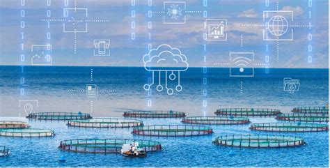 Farming desert seas: How technology is rewriting future of aquaculture ... - muktibox.com