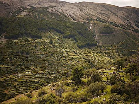 Farming Like the Incas | History - Happy Gringo Tours - wintechmobiles.com