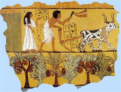Farming Tools In Ancient Egypt - Sciencing - wintechmobiles.com