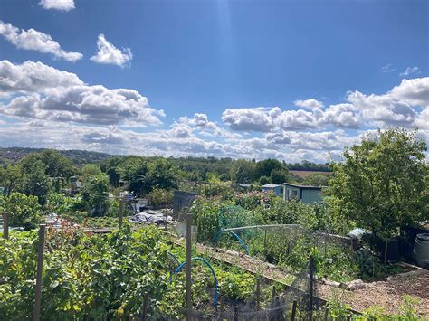 FARNBOROUGH HILL ALLOTMENTS LTD - ORPINGTON