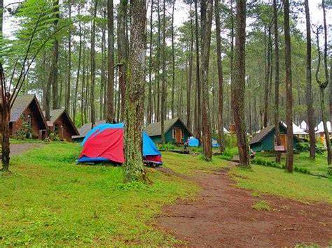 Fasilitas dan Harga Camping di Cikole, Lembang - raincitystudios.com