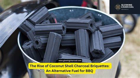Fast Burning Coconut Shell Charcoal for BBQ - raincitystudios.com