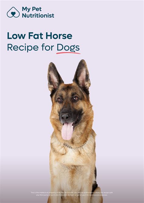 Fats for Dogs - PetMD - muktibox.com