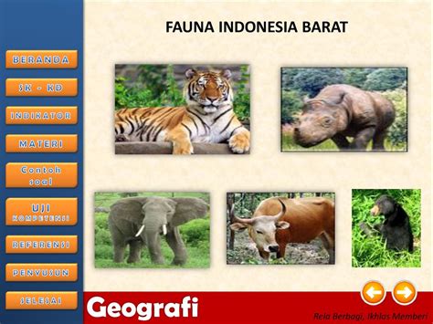 Fauna di Indonesia Bagian Barat - wintechmobiles.com