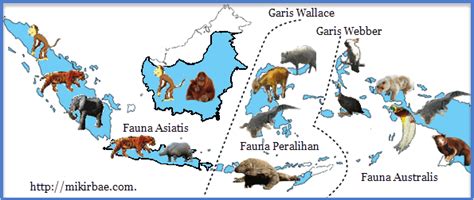 Fauna Indonesia - Wikipedia bahasa Indonesia, ensiklopedia bebas - muktibox.com