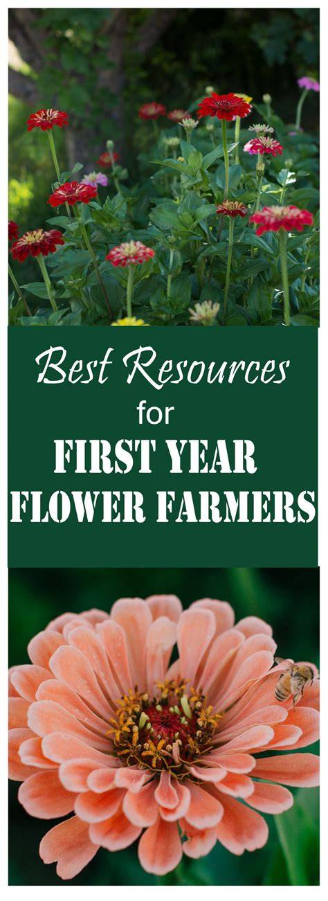 Favorite Resources for New Flower Farmers - I Dream of Acres - raincitystudios.com