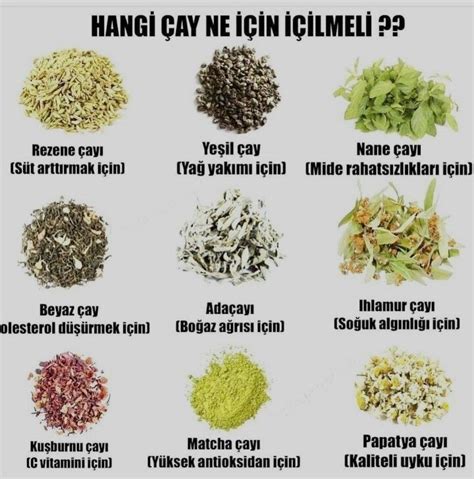 FAYDALI BİLGİLER Devre. 