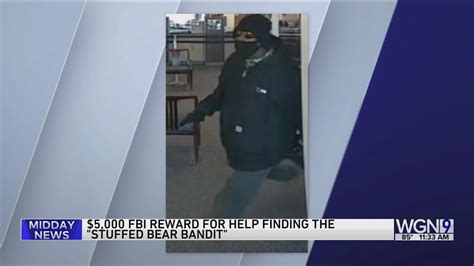 FBI offer $5K for info on 'Stuffed Bear Bandit' in armed bank robbery