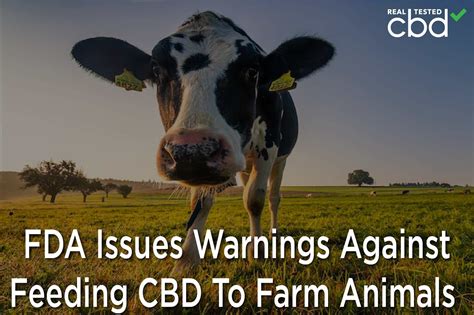 FDA Issues Warnings Against Feeding CBD To Farm Animals
