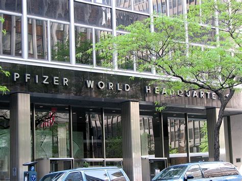 FDA panel knocks down Pfizer, Lilly’s osteoarthritis pain drug in …