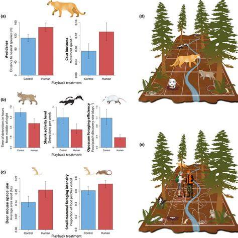 Fear of humans as apex predators has landscape‐scale impacts from ... - raincitystudios.com