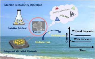Feasibility investigation and development of microbial electrochemical ... - raincitystudios.com