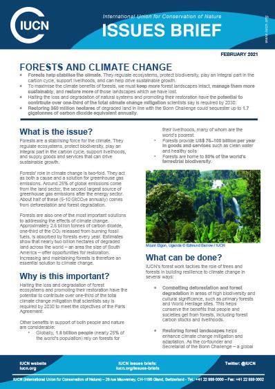 FEBRUARY 2021 FORESTS AND CLIMATE CHANGE - IUCN - raincitystudios.com
