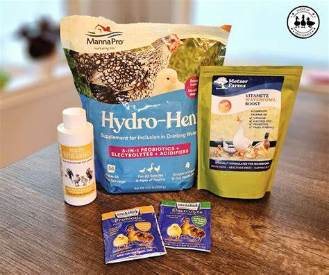 Feed and supplements for ducks: - BackYard Chickens - raincitystudios.com