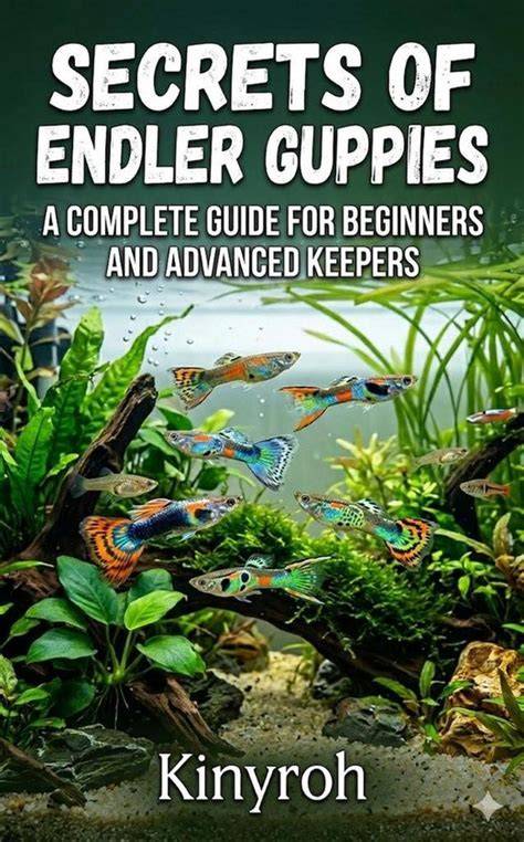Feeding Guppies for Beginners: A Complete Guide - - raincitystudios.com