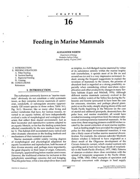 Feeding in Marine Mammals - Palaeontologia Electronica - raincitystudios.com