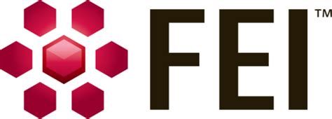 FEI Company - Wikipedia