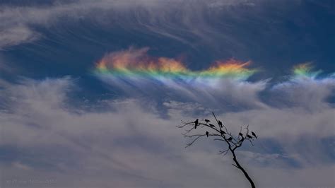 Fenomena "Super Blood Moon" Akan Jadi yang Terlama Selama 100 … - muktibox.com