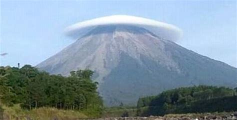 fenomena (indonesia) - Kamus SABDA - muktibox.com