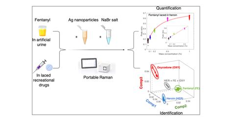 Fentanyl quantification using portable infrared absorption spectroscopy ... - wintechmobiles.com
