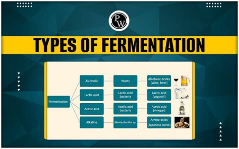 FERMENTATION, TYPES OF FERMENTERS, … - wintechmobiles.com