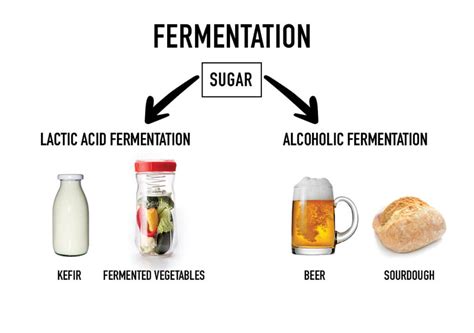 Fermentation | Special Issue : Anaerobic Digestion of … - raincitystudios.com