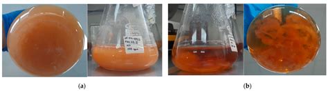 Fermentation Medium - an overview | ScienceDirect Topics - wintechmobiles.com
