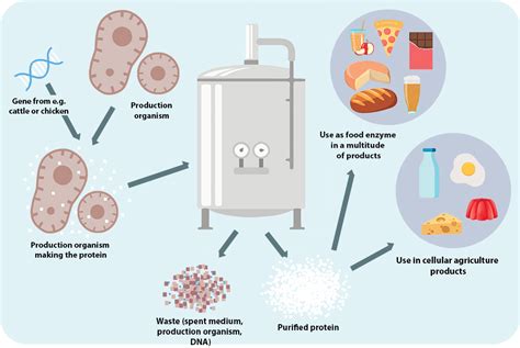 Fermentation Technology for Microbial Products and Their Process ... - wintechmobiles.com