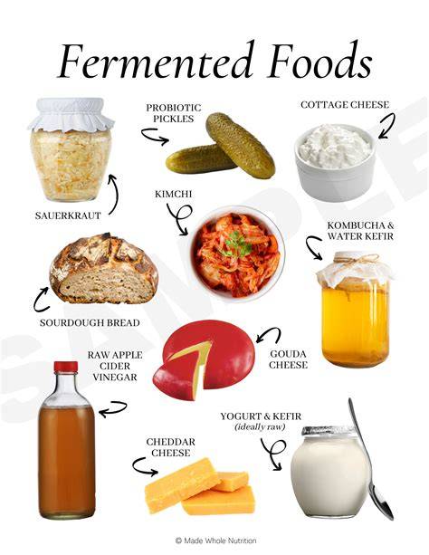Fermented foods for dogs! - Animal Wellness Magazine - raincitystudios.com