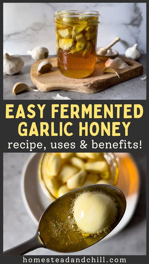 Fermented Garlic Honey Recipe - Simply Recipes - raincitystudios.com