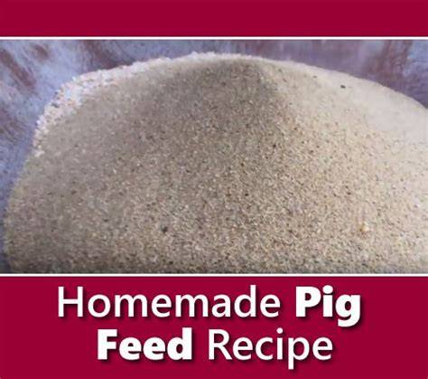 Fermented Pig Feed Recipe Saves - raincitystudios.com