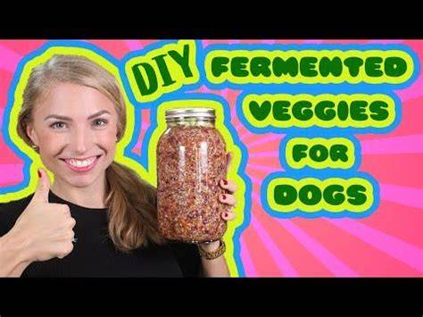 Fermented Vegetables for Dogs - The Canine Nutritionist - raincitystudios.com