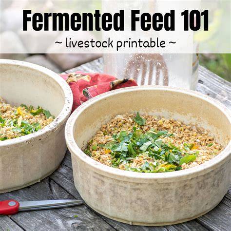 Fermenting Feed for Livestock - Highland Glenn Ranch - raincitystudios.com
