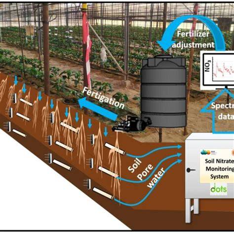 Fertigation Monitoring and Control System for Home Chili Cultivation ... - raincitystudios.com