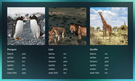 Few-Shot Learning | AI Glossary - coolestguyplanet.net