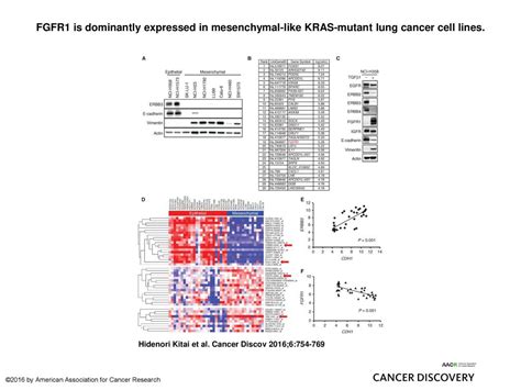 FGFR1 - American Association for Cancer Research