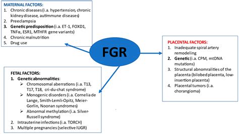 FGR definition of FGR by Medical dictionary