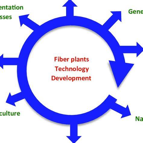 Fiber Plants: An Overview | Springer Nature Link - raincitystudios.com
