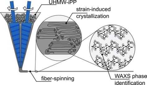 Fiber Spinning of Ultrahigh Molecular Weight Isotactic Polypropylene ... - wintechmobiles.com