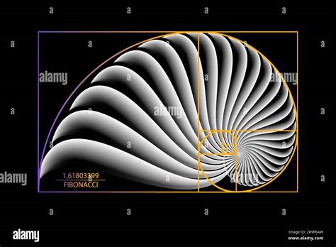 Fibonacci Sequence, Golden Ratio - Mathematics Stack Exchange - wintechmobiles.com