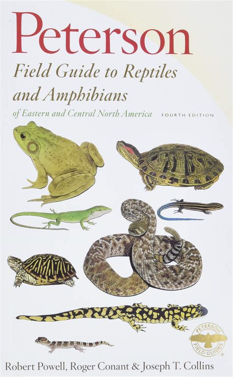 FIELD GUIDE TO REPTILES AND AMPHIBIANS OF …