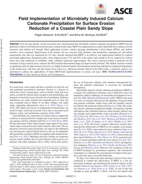 Field implementation to resist coastal erosion of sandy slope by eco ... - raincitystudios.com