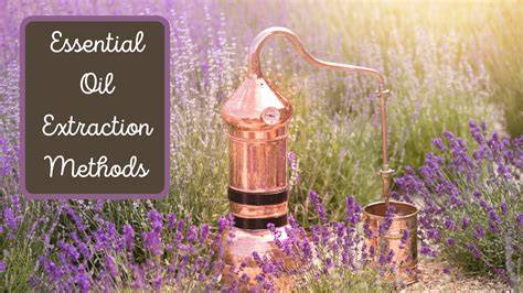 Figure 2.6 from Extraction of Essential Oils from Melaleuca ... - raincitystudios.com