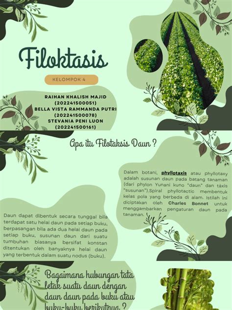 Filotaksis daun | PPTX - SlideShare - wintechmobiles.com