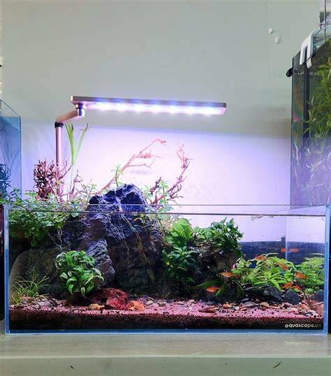 Filter Bening untuk Aquascape Shallow Tank - raincitystudios.com